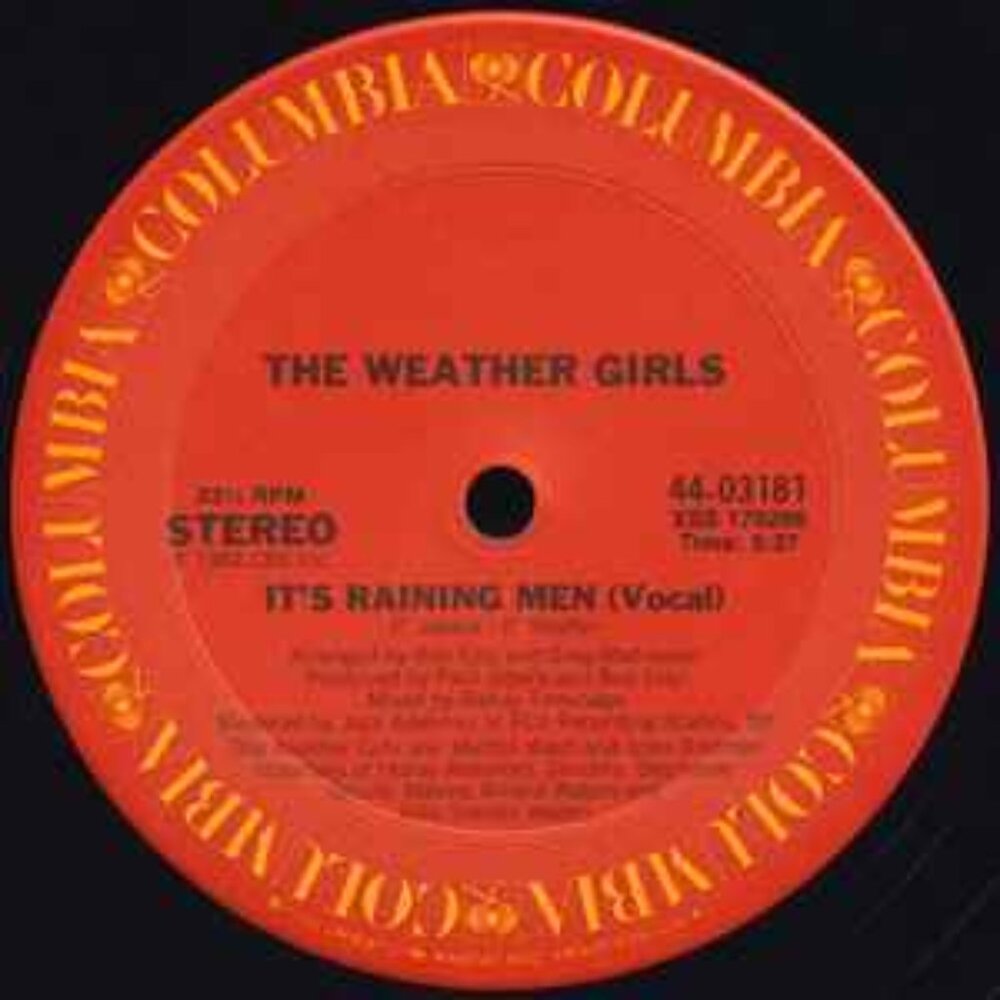 The Weather Girls ‎– It's Raining Men 12 inch Maxi Single LP Record